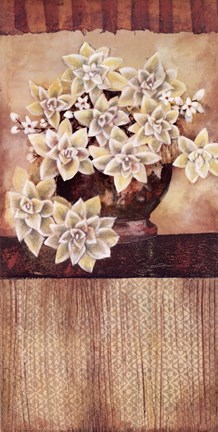 Framed Botanist Print