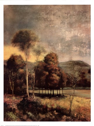 Framed Ancestral Beauty I Print