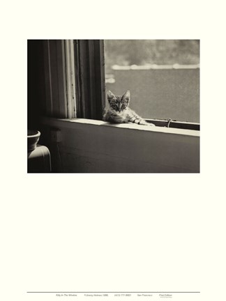 Framed Kitty in the Window Print