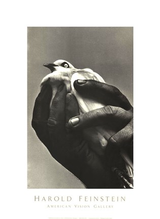 Framed Bird in Hand Print