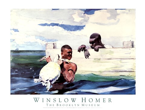 Framed Turtle Pound Print