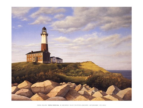 Framed Turtle Cove Hill (mini) Print