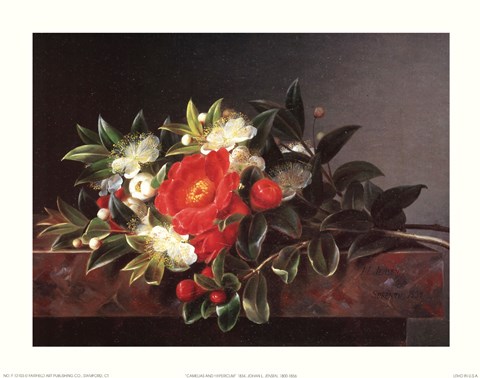 Framed Camellia&#39;s Hypericum Print