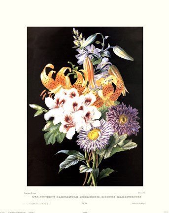 Framed Geranium Print
