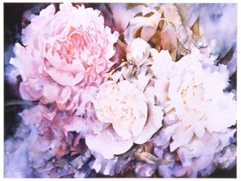 Framed Peonies Print