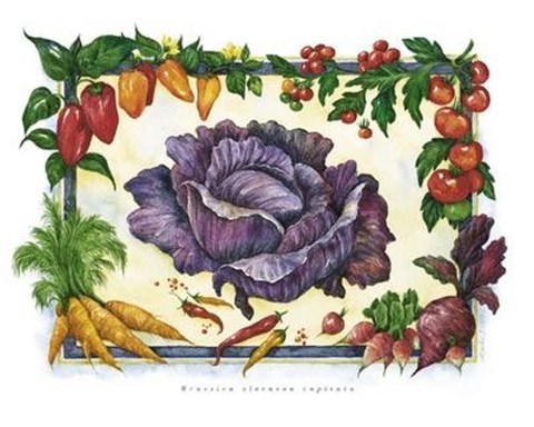 Framed Cabbage Print