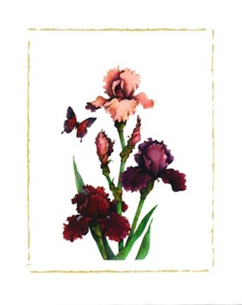 Framed Irises of Spring I Print