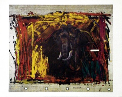 Framed Out of the Jungle Print