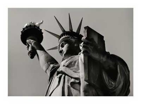 Framed Liberty Print