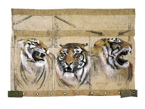Framed Circus Tiger Print