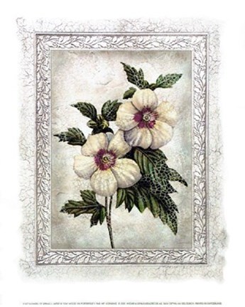 Framed Flowers of Spring I Print