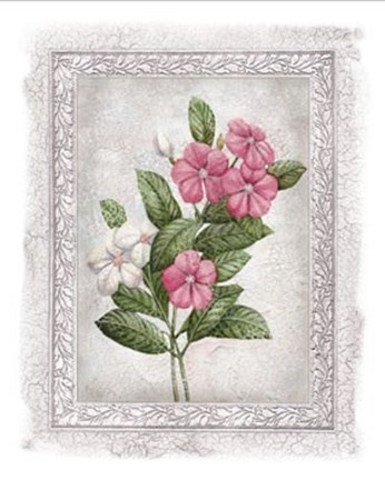 Framed Flowers of Spring III Print