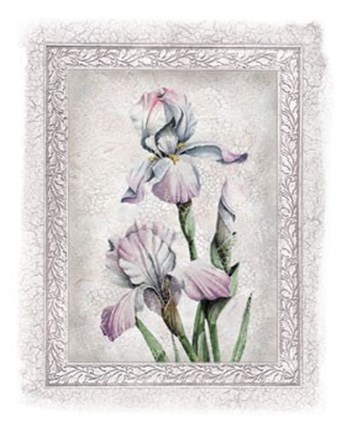 Framed Flowers of Spring IV Print