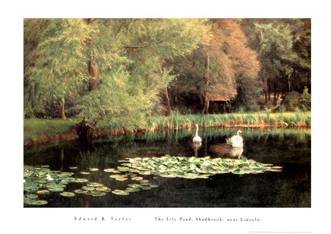 Framed Lily Pond, Shudbrook, Near Lincoln Print