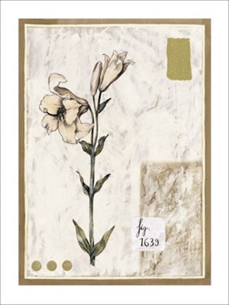 Framed Figure 1639 Print