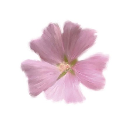 Framed Petales Roses I Print