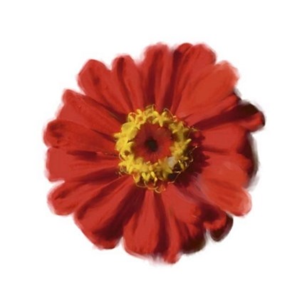 Framed Petales Rouges II Print