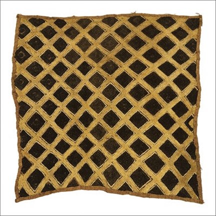 Framed Rafia IV Print