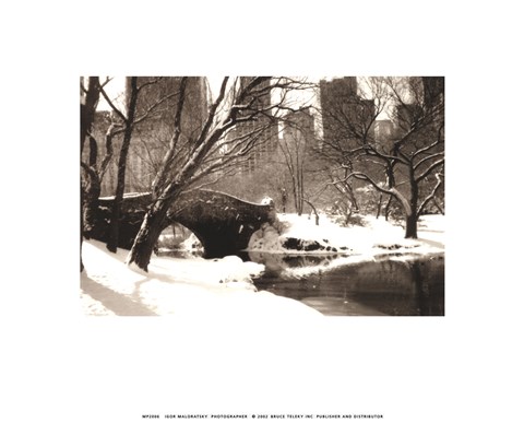 Framed Central Park, Bridge Print