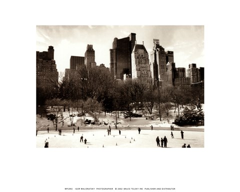 Framed Wollman Rink Print