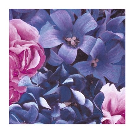 Framed Pink and Blue Flowers Print