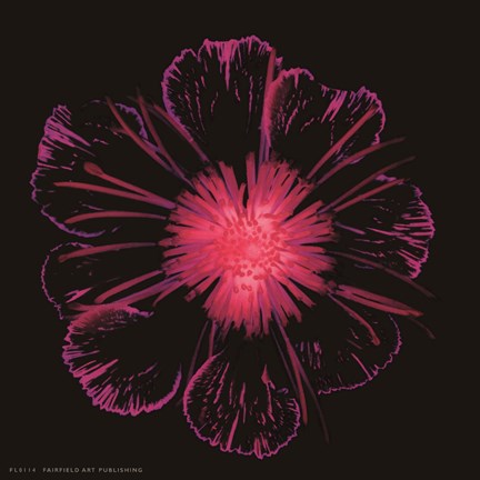 Framed Burst of Crimson Print