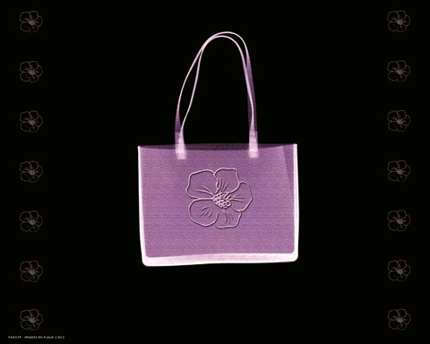 Framed Purse in Lilac Print