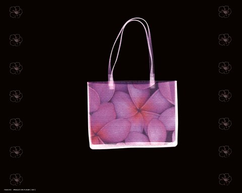 Framed Flowered Purse Print