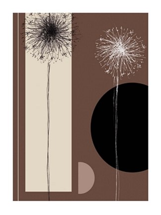 Framed Black and White Dandelions Print