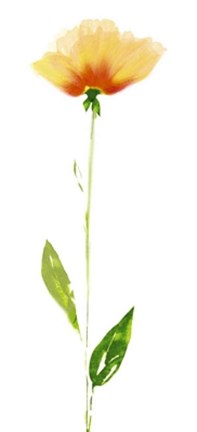 Framed Shades of Yellow Print