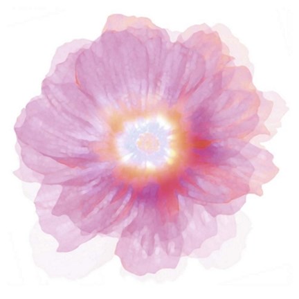 Framed Fleur Rose Print