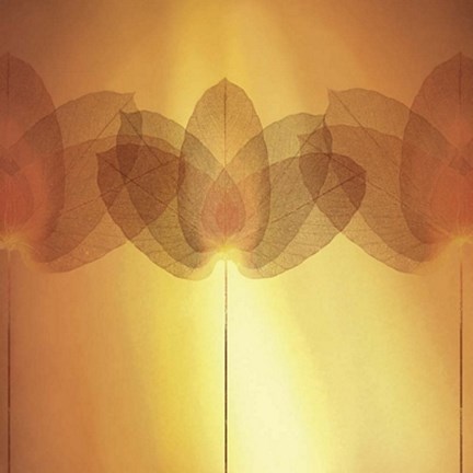 Framed Transparence V Print