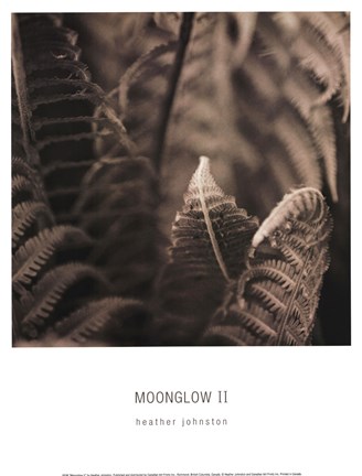 Framed Moonglow II Print