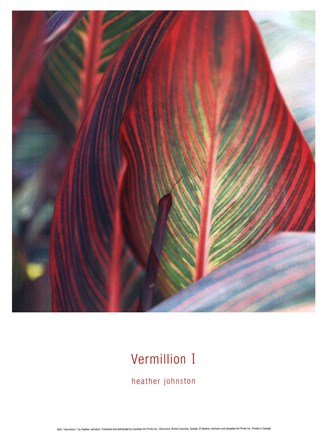 Framed Vermillion I Print