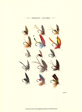 Framed Trout Flies I Print