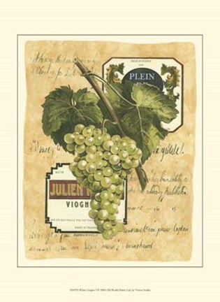 Framed Small White Grapes I Print