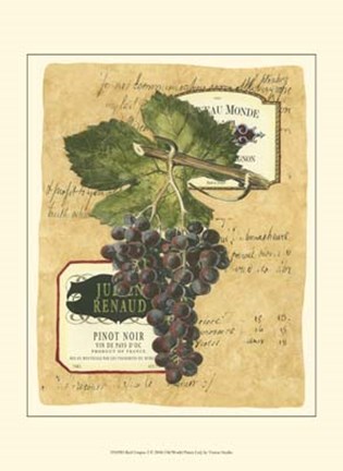 Framed Small Red Grapes I Print