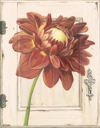 Framed Dahlia Door Print