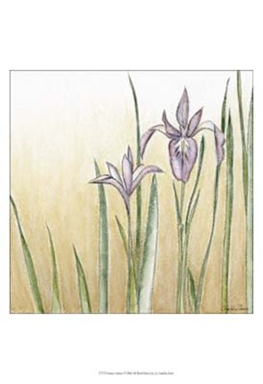 Framed Sunset Garden I Print