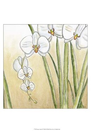 Framed Sunset Garden II Print