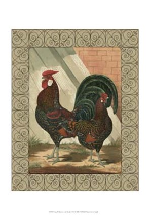Framed Cassell&#39;s Roosters with Border V Print