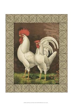 Framed Cassell&#39;s Roosters with Border VI Print