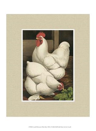Framed Cassell&#39;s Roosters with Mat I Print