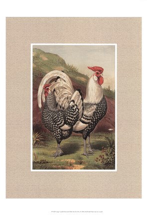 Framed Cassell&#39;s Roosters with Mat III Print