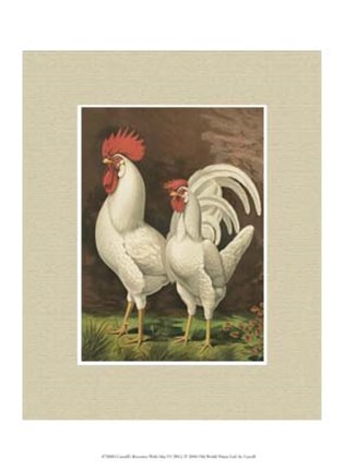 Framed Cassell&#39;s Roosters with Mat VI Print