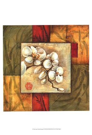 Framed Asian Orchid Montage II Print