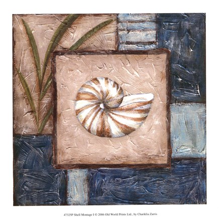 Framed Shell Montage I Print