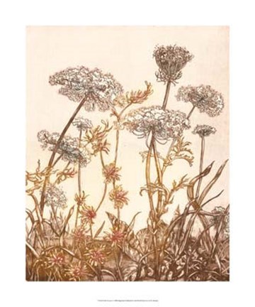 Framed Field of Lace I Print