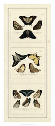 Framed Antique Butterfly Panel I Print