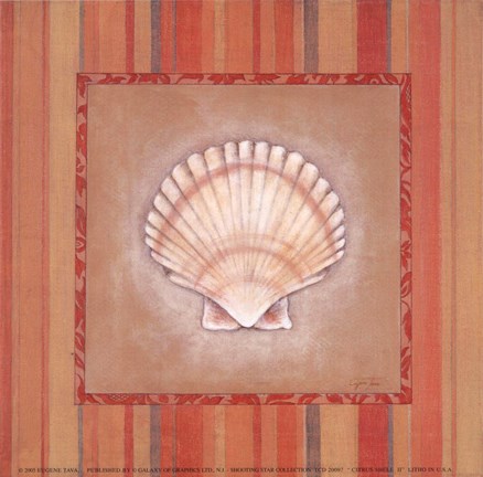Framed Citrus Shell II Print
